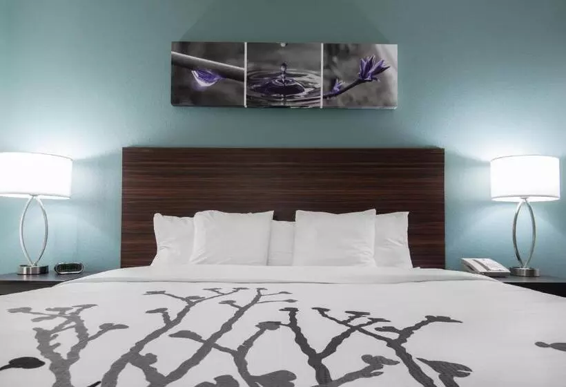 Sviitti Liikuntarajoitteisille, Sleep Inn & Suites Washington Near Peoria