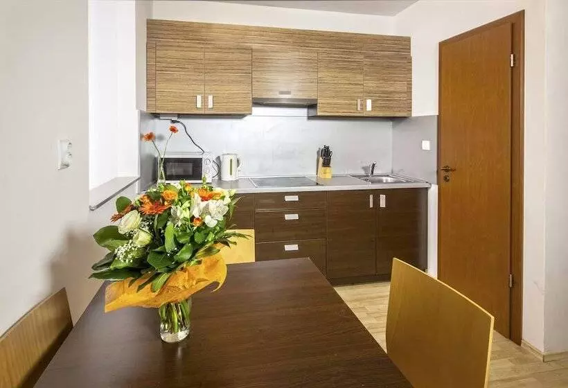 Appartamento Superiore 1 Camera da Letto, Prater Residence