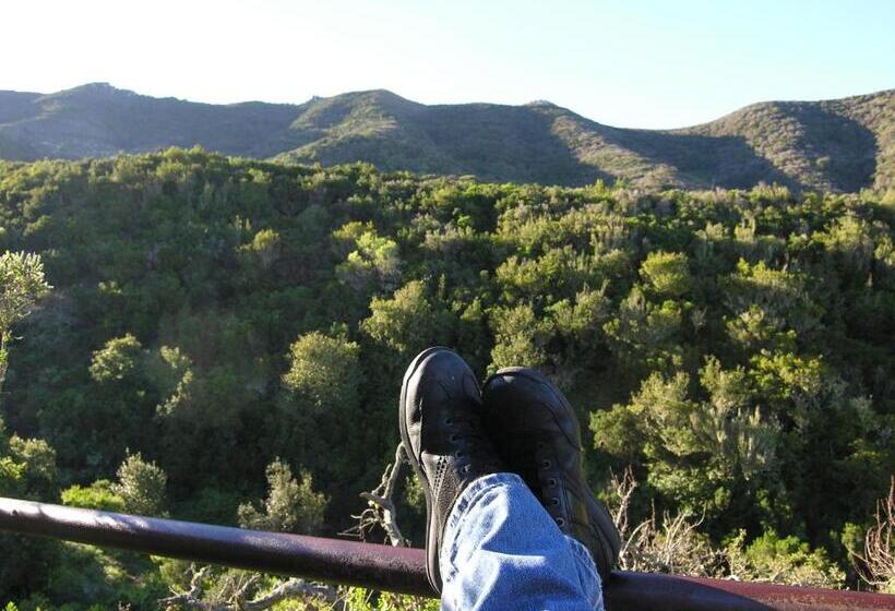 패밀리 룸, Albergue De Bolico