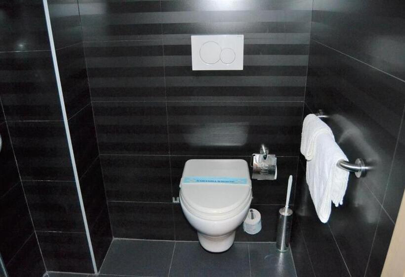 适合残疾人使用的标准间, Aiglon