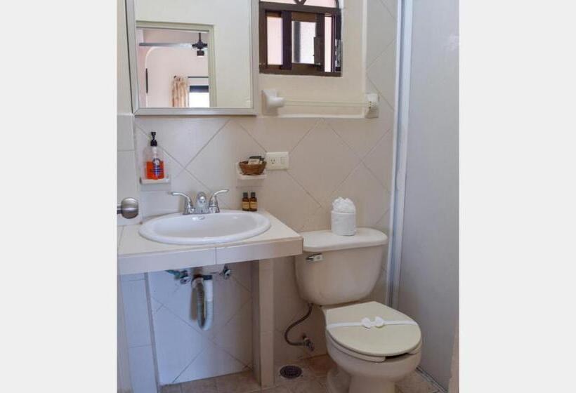 스탠다드 룸 킹사이즈 침대, & Restaurant Bucaneros, Isla Mujeres