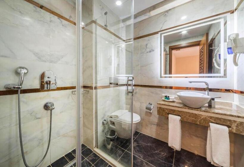 スタンダードトリプルルーム, Lalinn