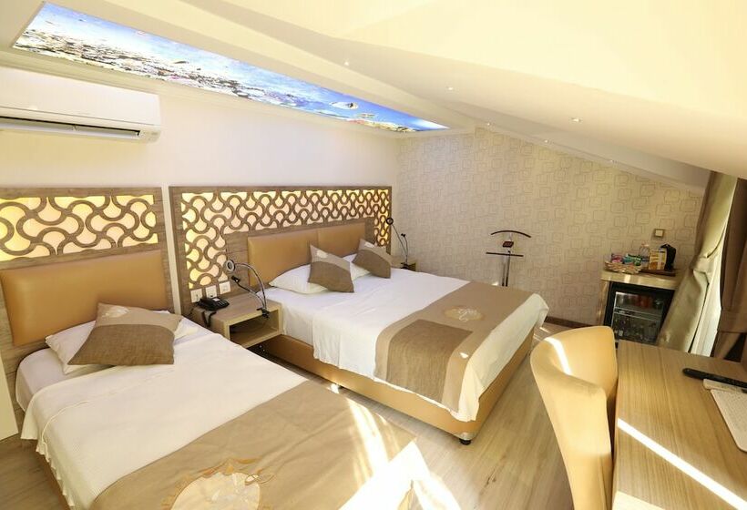 اتاق استاندارد سه نفره, Unluselek