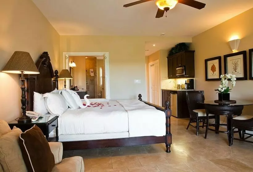 استودیوی لوکس, Villa Del Mar