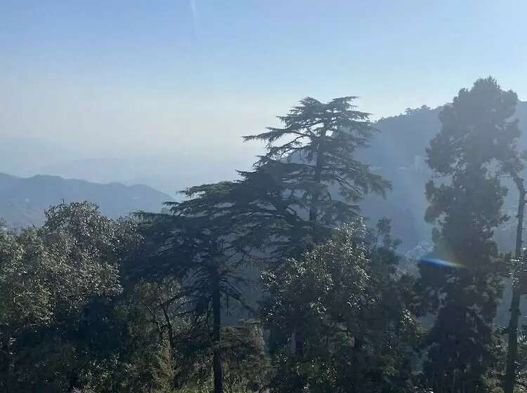 シングルデラックスルーム, Fortune Resort Grace, Mussoorie   Member Itc S Hotel Group