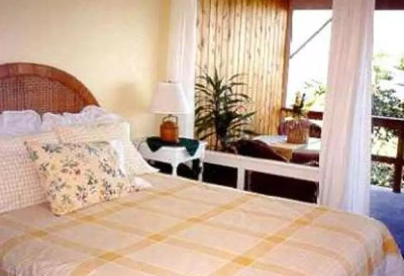 Comfort Kolmen Hengen Huone, Halehoola B & B