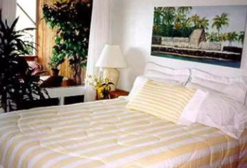 Standard Kolmen Hengen Huone, Halehoola B & B