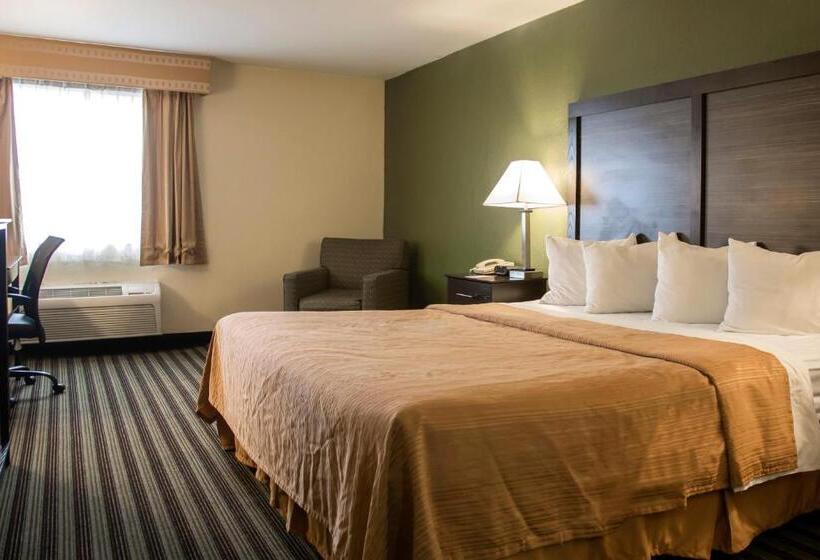 غرفة قياسية سرير كينج, Quality Inn & Suites Loves Park Near Rockford