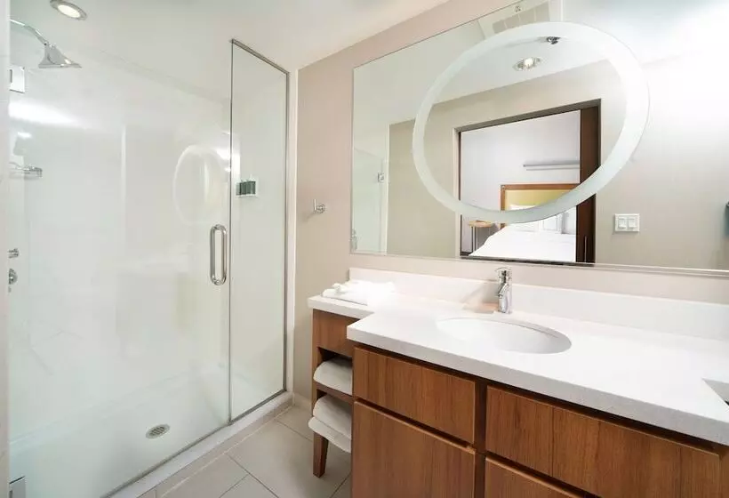スタンダードスタジオ, Springhill Suites By Marriott Philadelphia Valley Forge/king Of Prussia