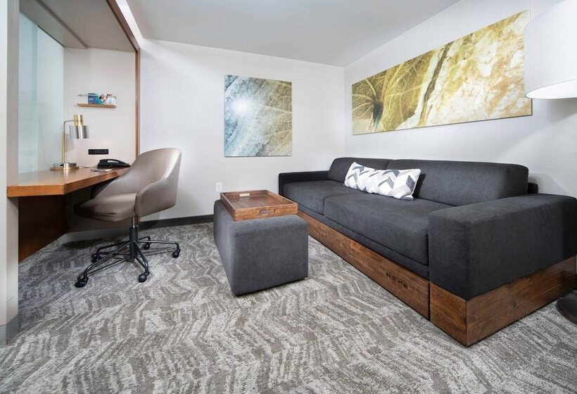 חדר סטודיו סטנדרד, Springhill Suites By Marriott Philadelphia Valley Forge/king Of Prussia