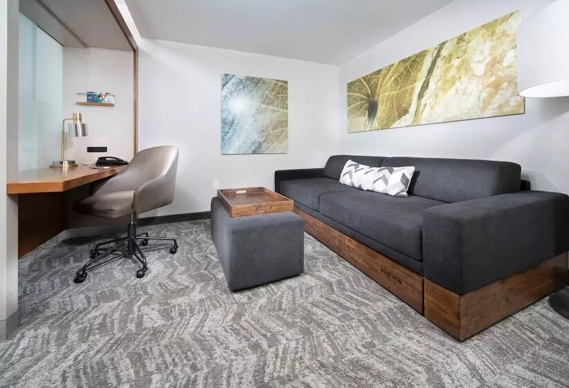 スタンダードスタジオ, Springhill Suites By Marriott Philadelphia Valley Forge/king Of Prussia