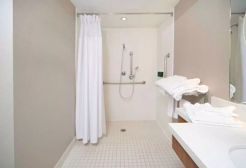 スタンダードスタジオ, Springhill Suites By Marriott Philadelphia Valley Forge/king Of Prussia
