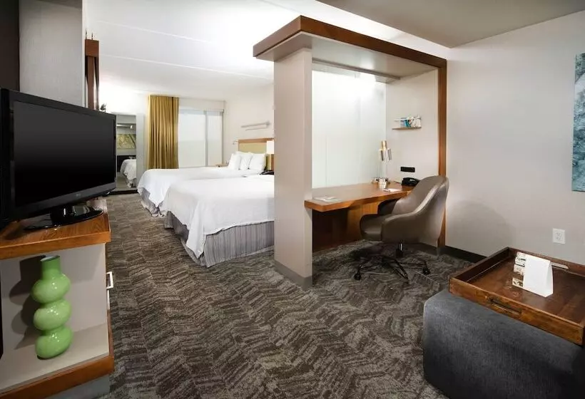 スタンダードスタジオ, Springhill Suites By Marriott Philadelphia Valley Forge/king Of Prussia