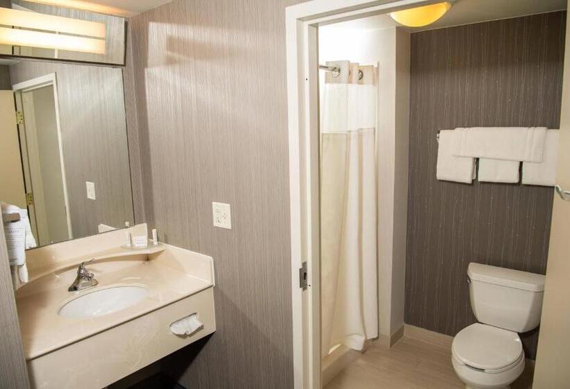 جناح ديلوكس سرير كينج, Courtyard By Marriott Erie Ambassador Conference Center