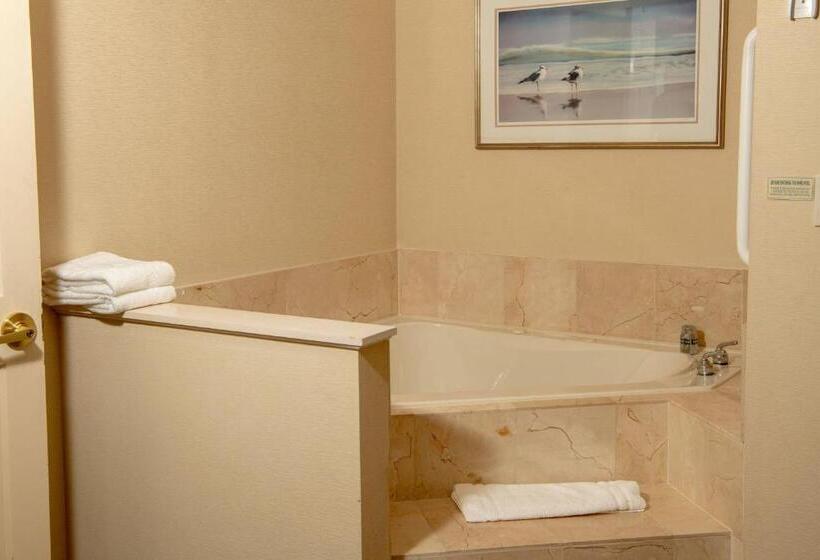 جناح ديلوكس سرير كينج, Courtyard By Marriott Erie Ambassador Conference Center