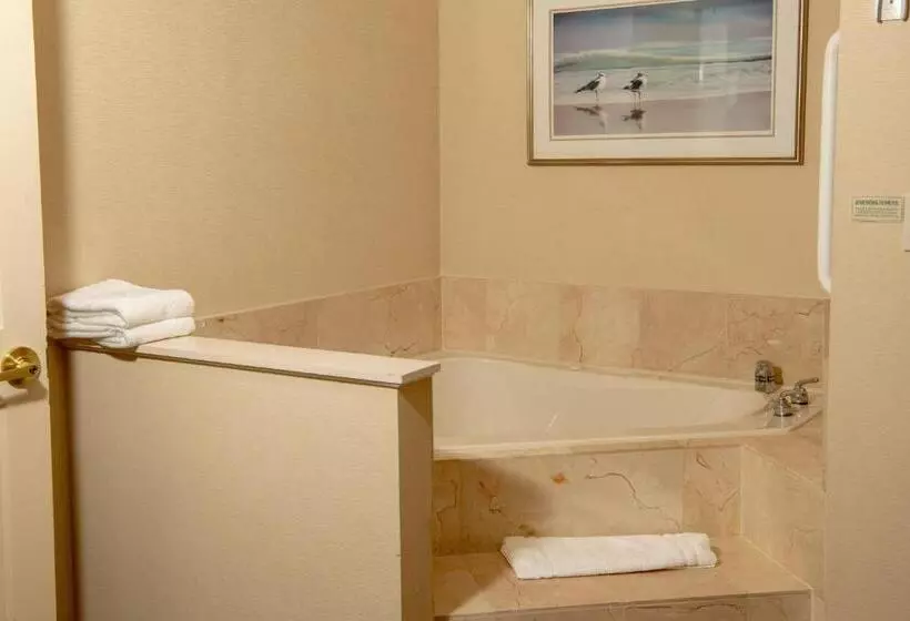 キングサイズベッドのデラックススイート, Courtyard By Marriott Erie Ambassador Conference Center