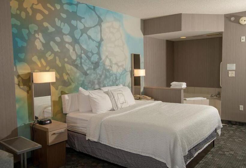 Люкс Deluxe Кровать Кинг, Courtyard By Marriott Erie Ambassador Conference Center