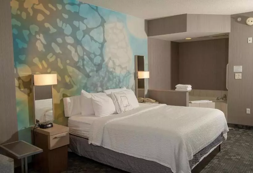 キングサイズベッドのデラックススイート, Courtyard By Marriott Erie Ambassador Conference Center