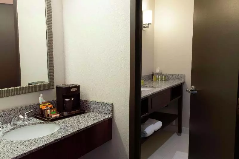 اتاق استاندارد با تخت بزرگ, President Abraham Lincoln Springfield   Doubletree By Hilton