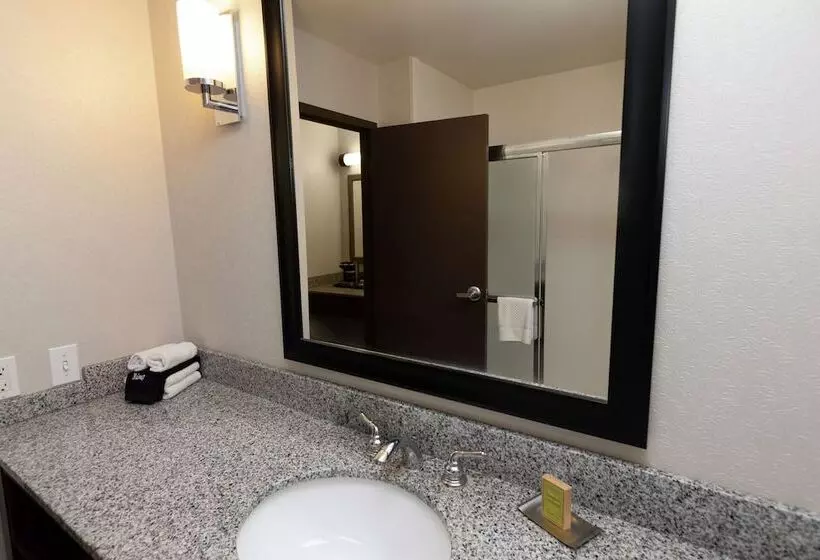 اتاق استاندارد با 2 تخت دوبل, President Abraham Lincoln Springfield   Doubletree By Hilton