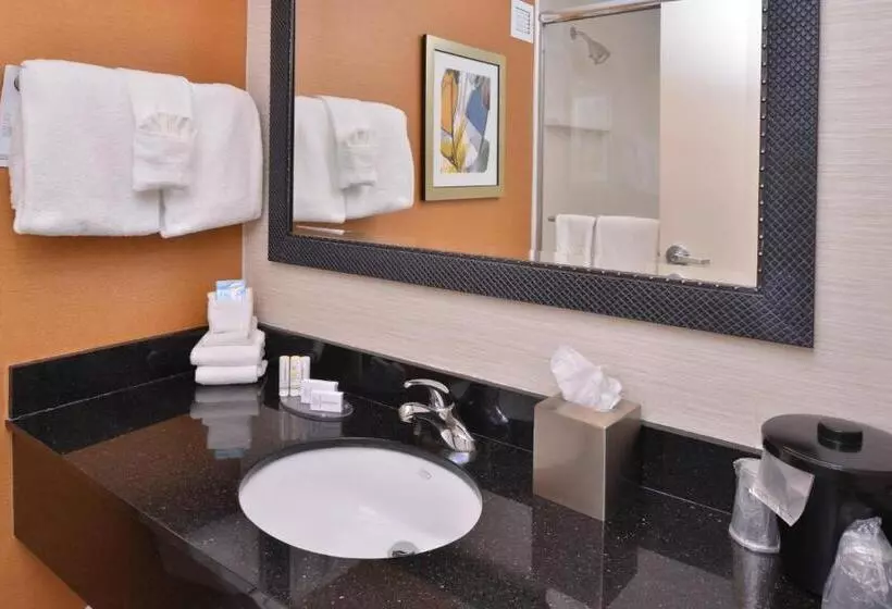 キングサイズベッドのスタンダードルーム, Fairfield Inn Rochester Airport