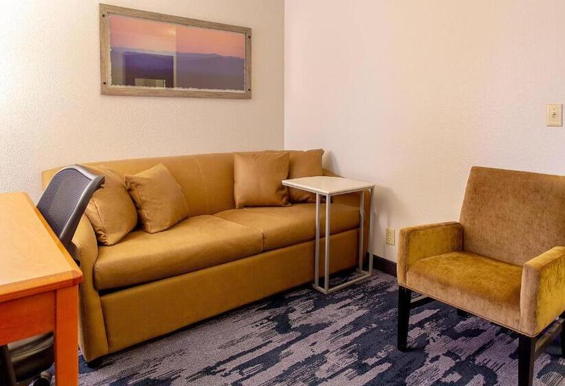 Президентский Люкс, Fairfield Inn & Suites Minneapolis Eden Prairie