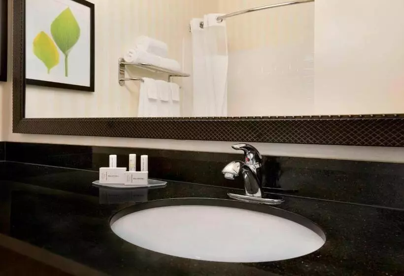 障害者適応デラックスルーム, Fairfield Inn & Suites Minneapolis Eden Prairie