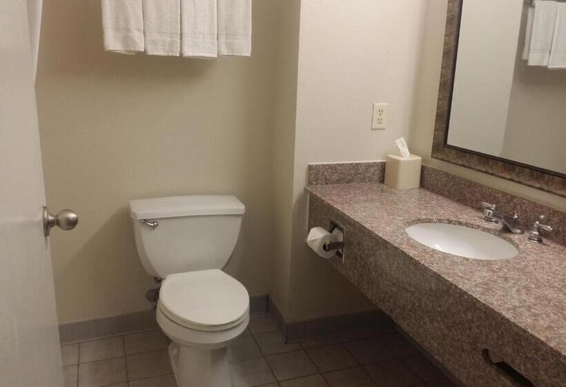 Номер Стандарт, Quality Inn & Suites Schoharie Near Howe Caverns