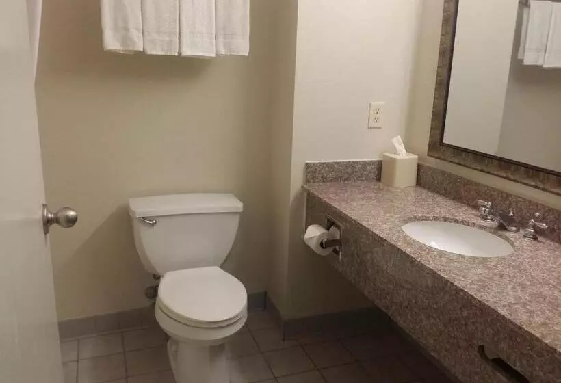 スタンダードルーム, Quality Inn & Suites Schoharie Near Howe Caverns
