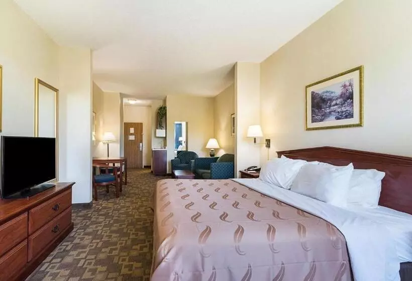 キングサイズベッドのスタンダードルーム, Quality Inn & Suites Schoharie Near Howe Caverns