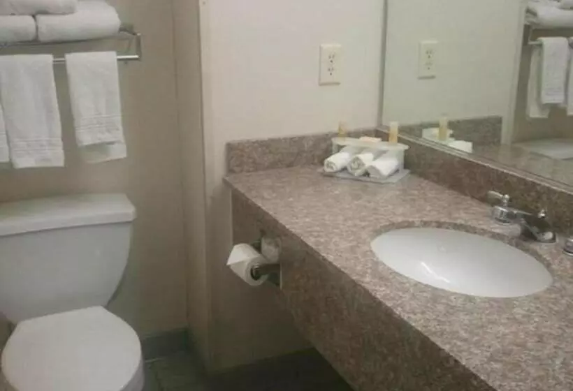 キングサイズベッドのスタンダードルーム, Quality Inn & Suites Schoharie Near Howe Caverns