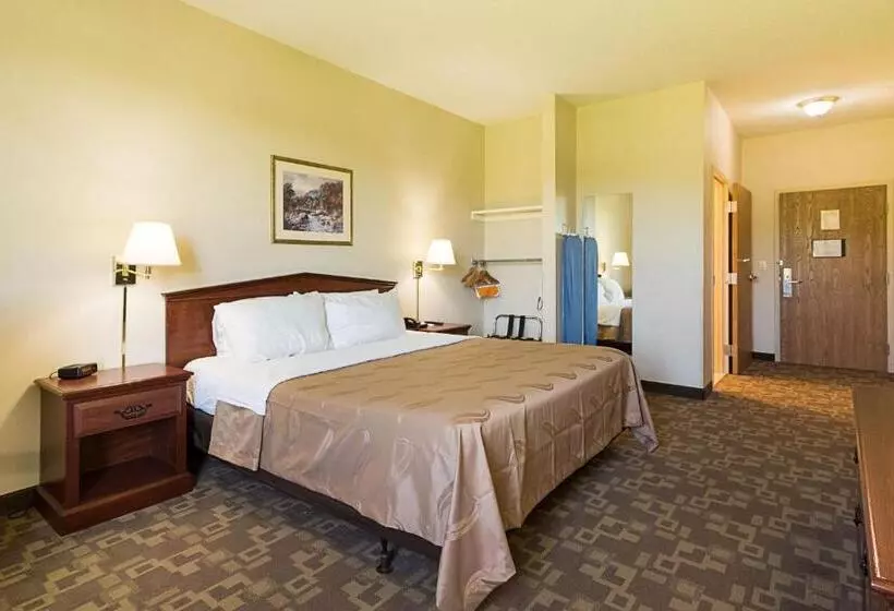 キングサイズベッドのスタンダードルーム, Quality Inn & Suites Schoharie Near Howe Caverns