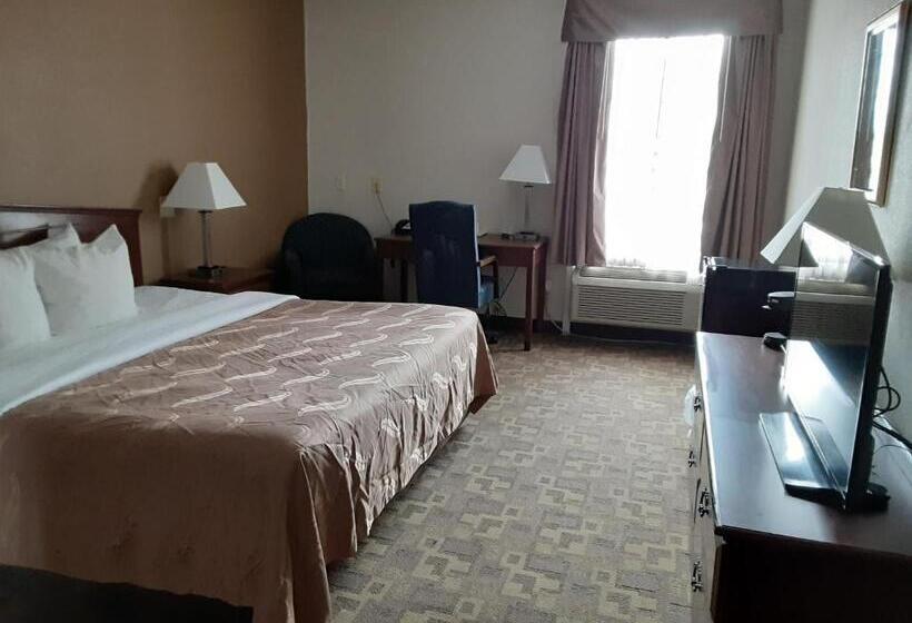 Номер Стандарт Кровать Кинг Адаптированный для Инвалидов, Quality Inn & Suites Schoharie Near Howe Caverns