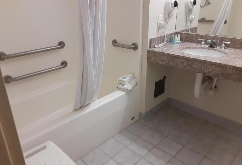 غرفة قياسية سرير كينج لذوى الإحتياجات الخاصة, Quality Inn & Suites Schoharie Near Howe Caverns