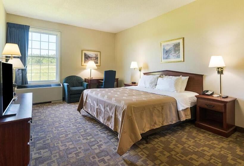 غرفة قياسية سرير كينج لذوى الإحتياجات الخاصة, Quality Inn & Suites Schoharie Near Howe Caverns