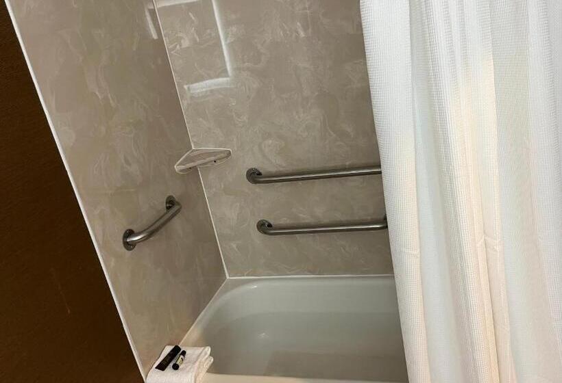 חדר סטנדרט, מיטת קינג, מותאם לאדם עם מוגבלויות, Wingate By Wyndham Great Falls