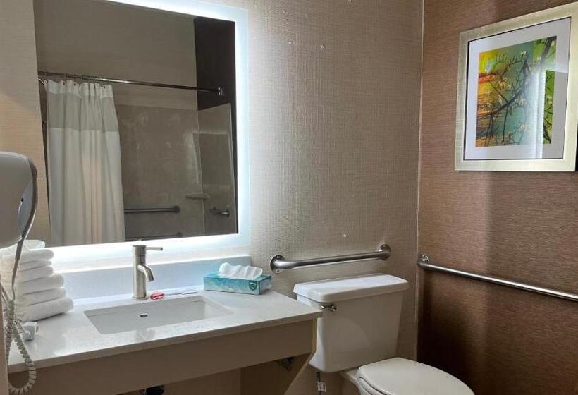 Номер Стандарт Кровать Кинг Адаптированный для Инвалидов, Wingate By Wyndham Great Falls
