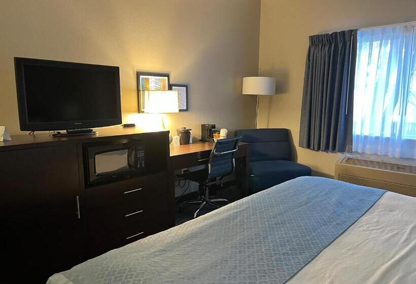 חדר סטנדרט, מיטת קינג, מותאם לאדם עם מוגבלויות, Wingate By Wyndham Great Falls