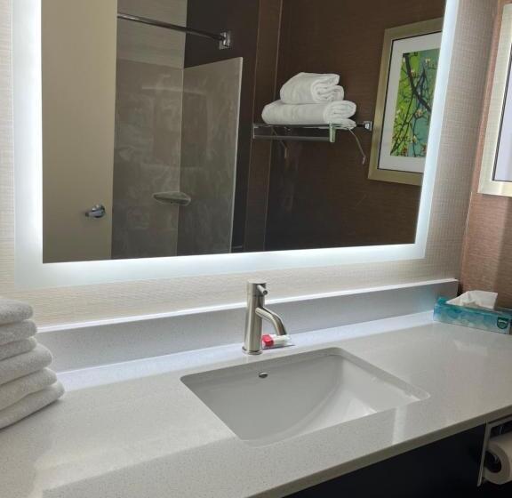 חדר דחוקס עם מיטת קינג, Wingate By Wyndham Great Falls