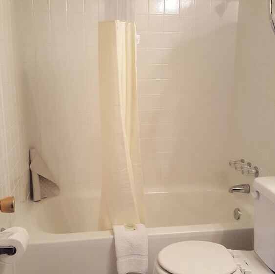 غرفه قياسيه سريرين مزدوجين, Lake Powell Canyon Inn