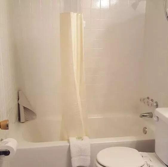 اتاق استاندارد با 2 تخت دوبل, Lake Powell Canyon Inn