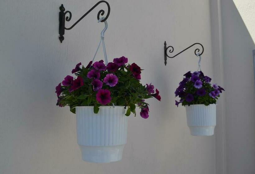 Camera Standard con Balcone, Atrium Villa