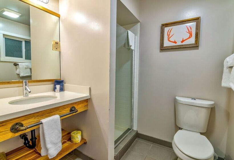 패밀리 룸, Basecamp Tahoe South