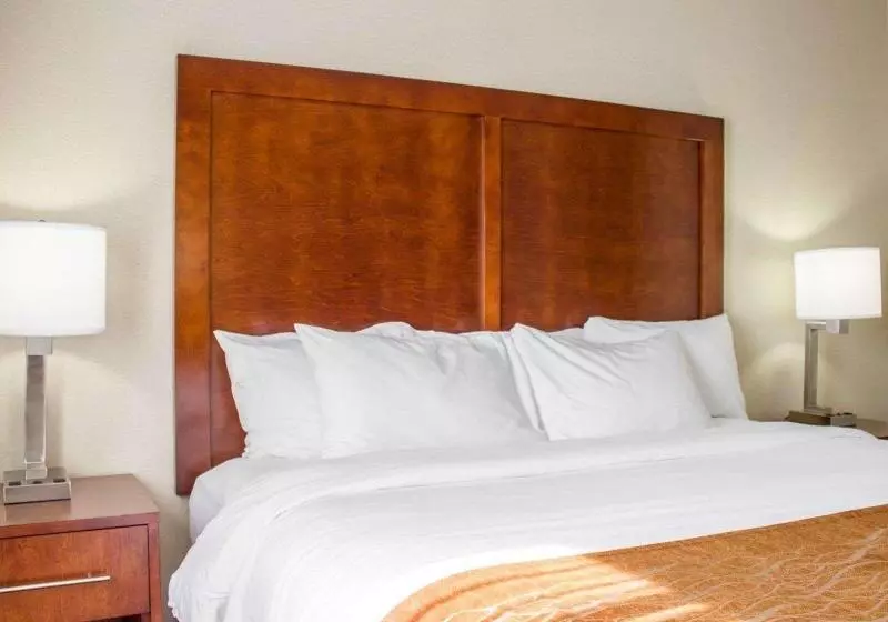 اتاق استاندارد برای معلولان, Best Western Plus The Four Corners Inn