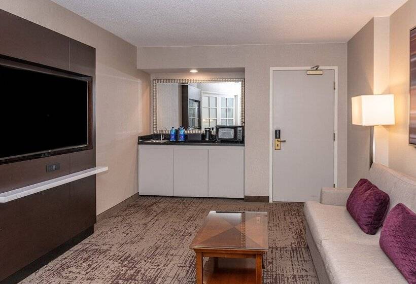 جناح سرير كينج, Chicago Marriott Suites Deerfield