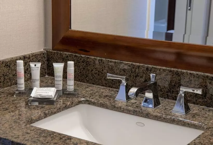 エクゼクティブスイート, Chicago Marriott Suites Deerfield