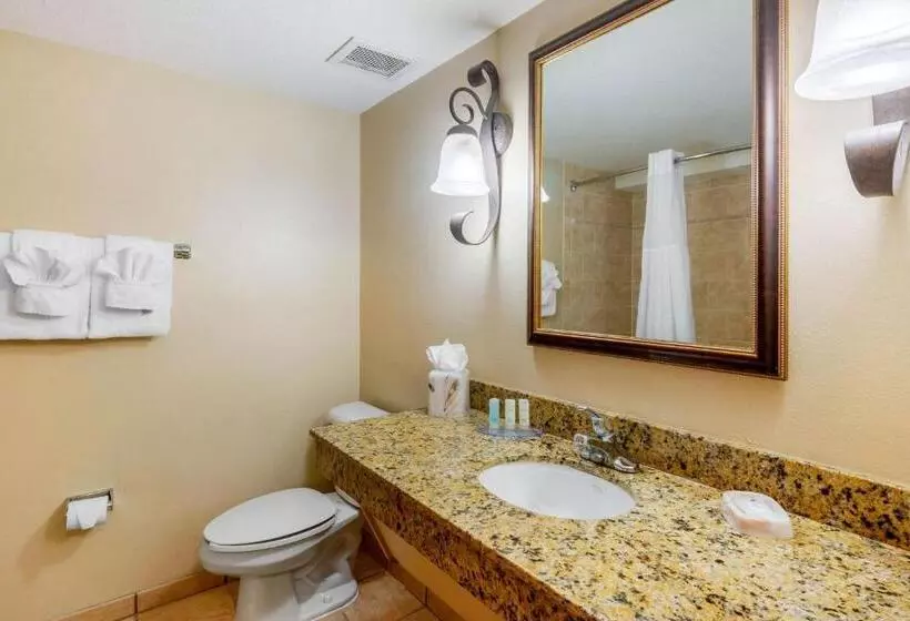Standard-huone, Clarion Inn Ormond Beach At Destination Daytona