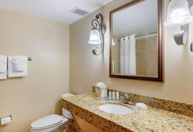 스탠다드 룸 킹사이즈 침대, Clarion Inn Ormond Beach At Destination Daytona