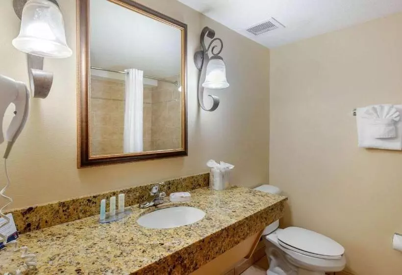 Sviitti King-vuode, Clarion Inn Ormond Beach At Destination Daytona