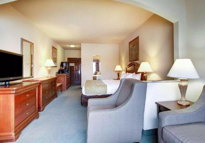 キングサイズベッドのスタンダードルーム, Clarion Suites